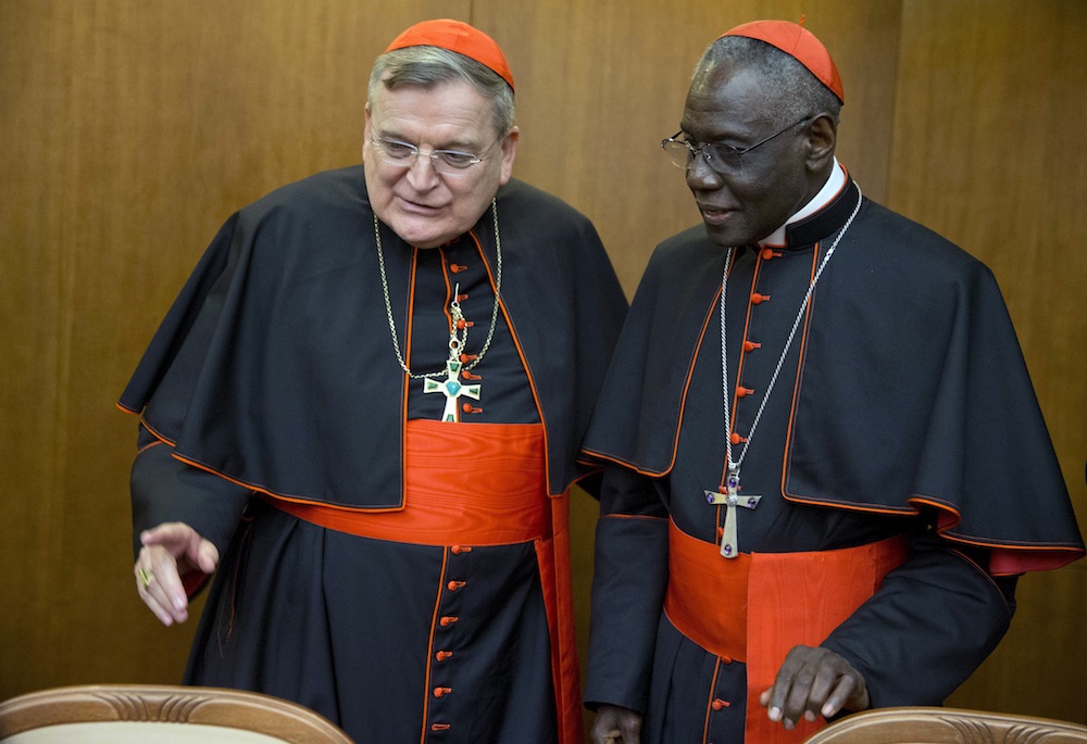 Cardenales envían 'dubia' al Papa Francisco antes del Sínodo sobre la sinodalidad